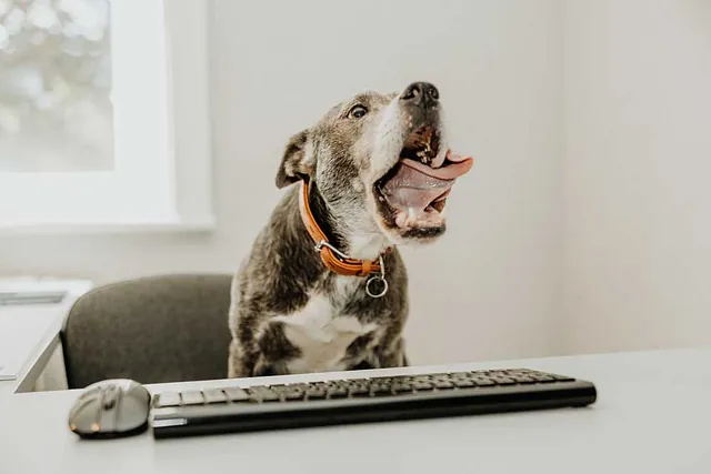 Tischlerei Steiner GmbH